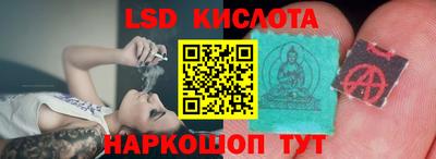 шишки Конаково