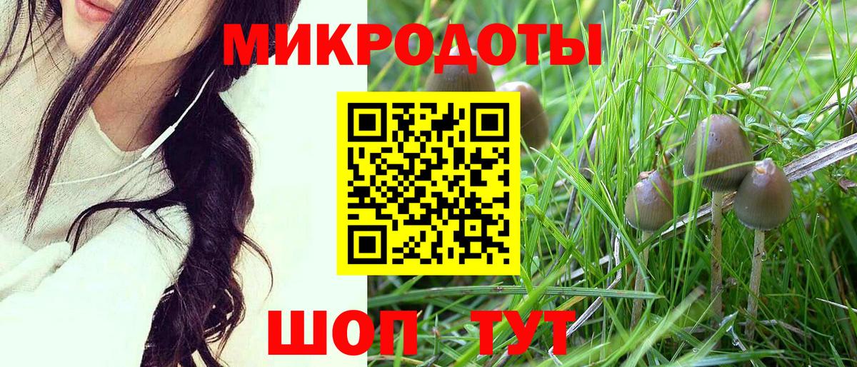 Галлюциногенные грибы Magic Shrooms  Галлюциногенные грибы мицелий  Кудрово  Вход с VPN 