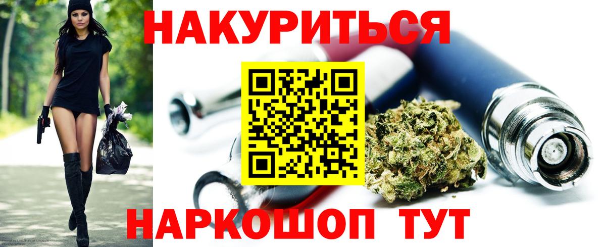 Конопля сатива Кудрово