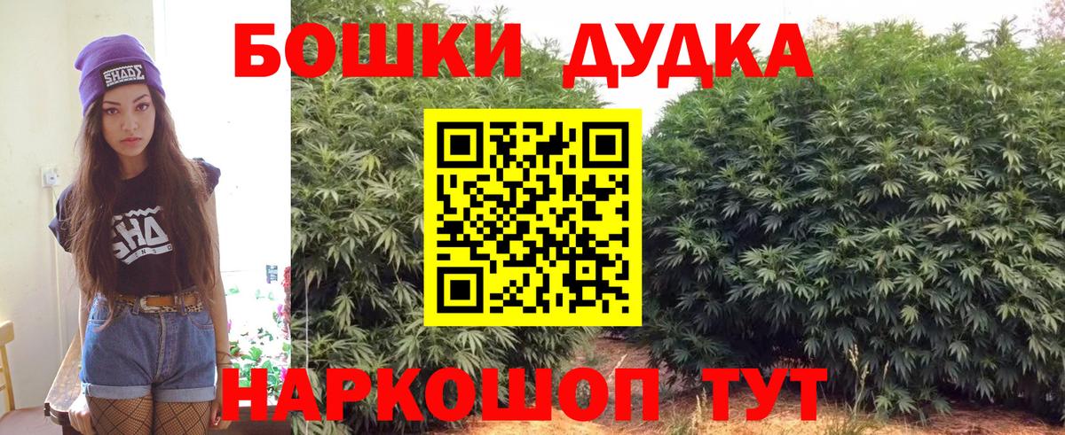 Бошки Шишки тримм  Вход с VPN  Кудрово  Шишки марихуана SATIVA & INDICA  Конопля план 